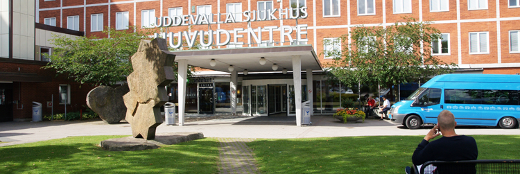 Uddevalla sjukhus samarbetar nära ihop med NÄL, Norra Älvsborgs Länssjukhus, i Trollhättan. Tillsammans erbjuder de en komplett länssjukvård för invånarna i Västra Götalandsregionen.