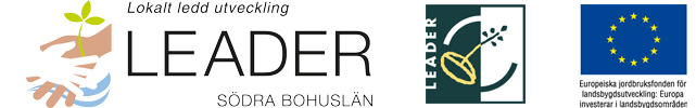 Leader logotyp