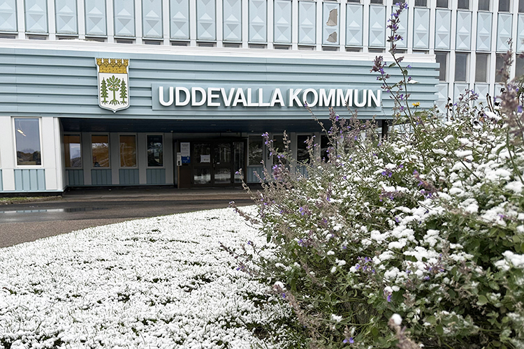 Stadshusets entré med lite snö på gräs och blommor framför