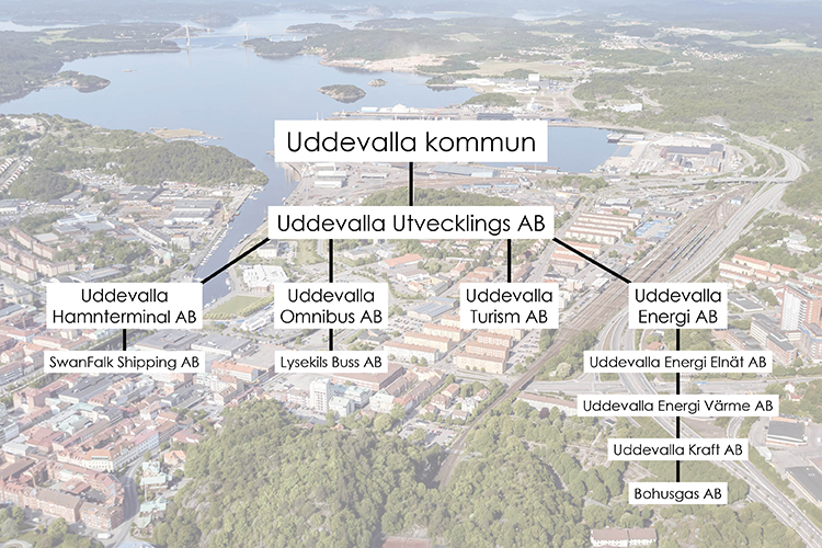 I koncernen Uddevalla Utvecklings AB ingår bland annat de helägda dotterbolagen Uddevalla Turism AB, Uddevalla Omnibus AB, Uddevalla Hamnterminal AB och Uddevalla Energi AB. Uddevalla Omnibuss, Uddevalla Hamnterminal och Uddevalla Energi har i sin tur egna dotterbolag under sig. Förutom dessa är kommunen delägare i ytterligare några bolag, till exempel Fyrstadsflygplats AB och Regionteater Väst AB.
