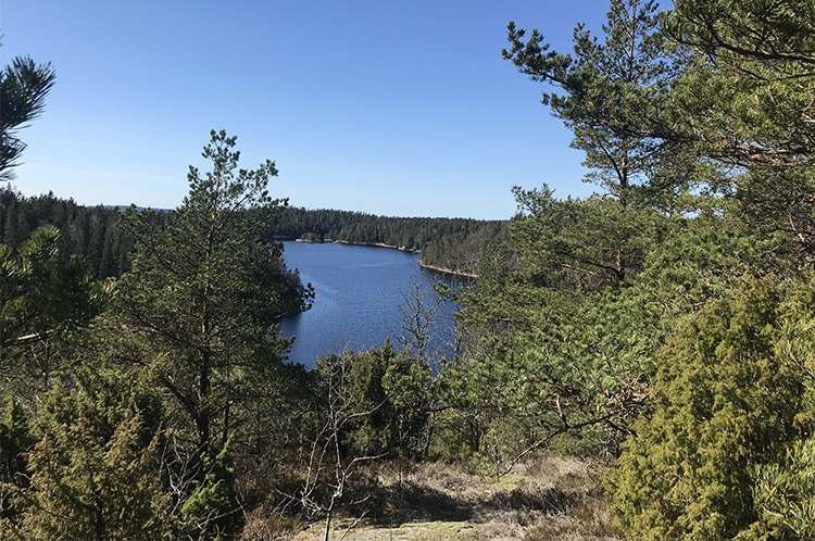 Utsikt från Skarsjöleden över skog och sjö