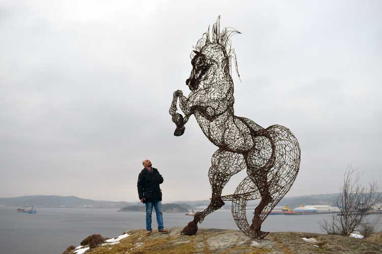 Syrian Horse som står och blickar ut över havet vid Skeppsviken