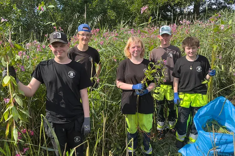 fem glada ungdomar i arbetskläder, de står där framför höga jättebalsaminer med rosa blommor 