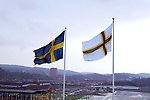Sverigefinnarnas flaggan
